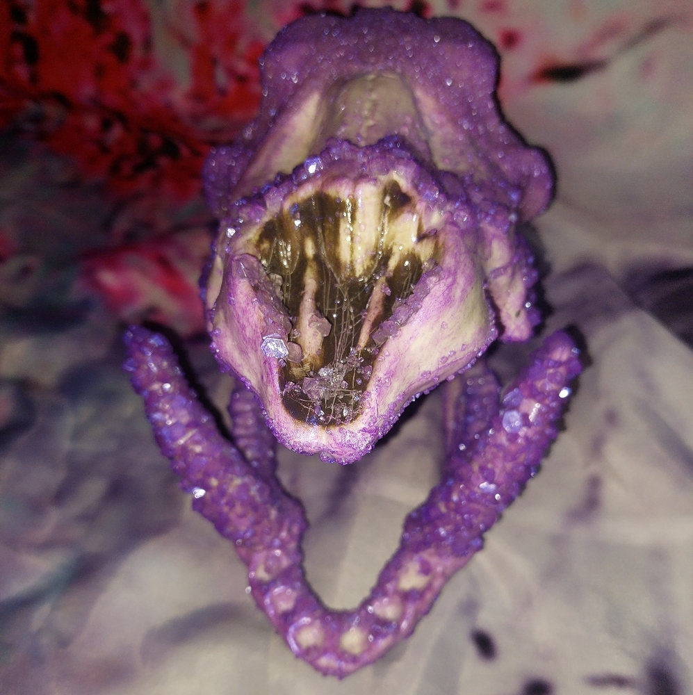 Crystal Skulls - Picture 9 of 14
